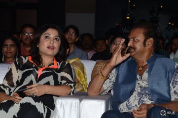 Mama Manchu Alludu Kanchu Movie Audio Launch